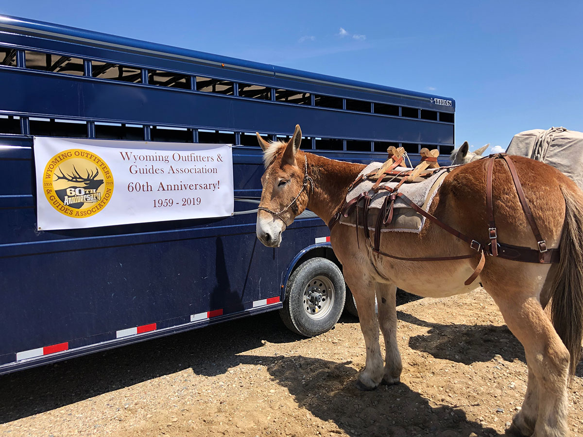 Mule and trailer at the 2019 Wyoming Game and Fish Expo
