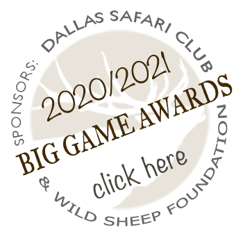 Click here to go to the 2020/2021 Big Game Awards page